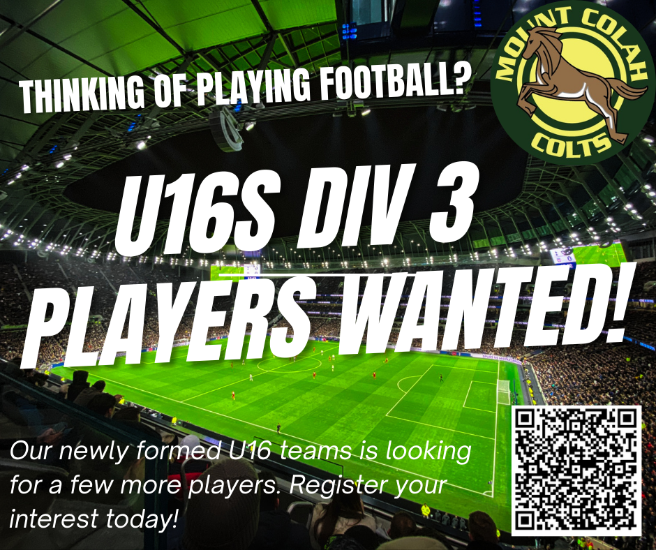 U16s Div 3 Players Wanted